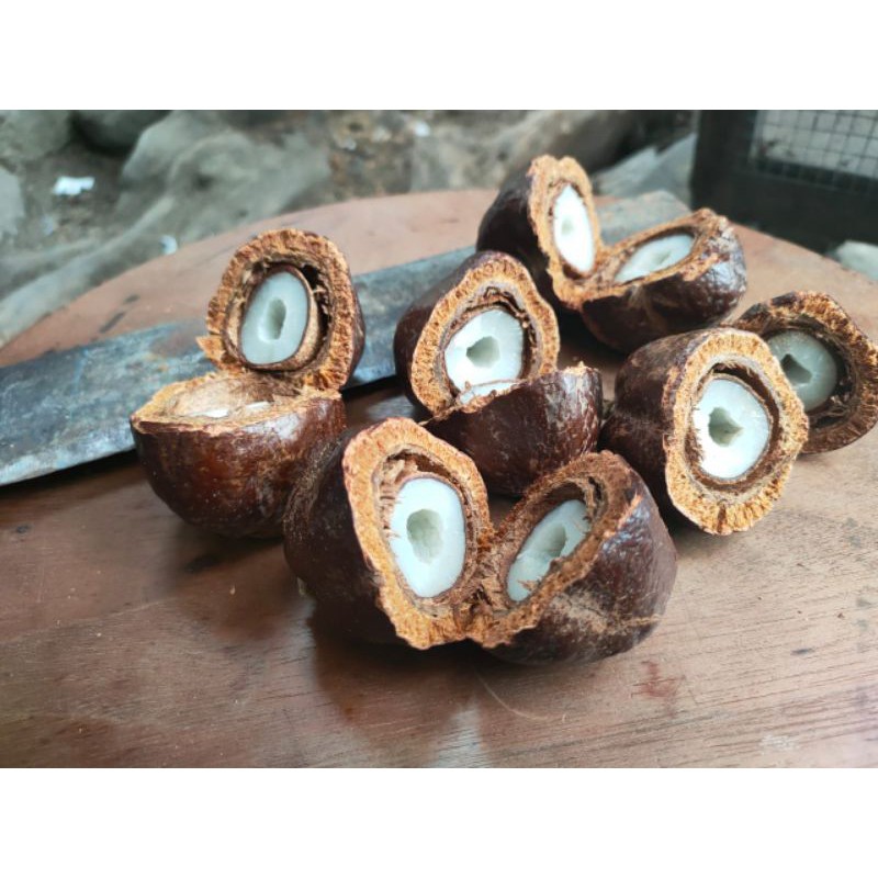 

Buah Zuriat promil