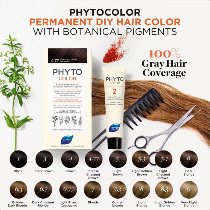 Phyto Permanent Color 04 Brown