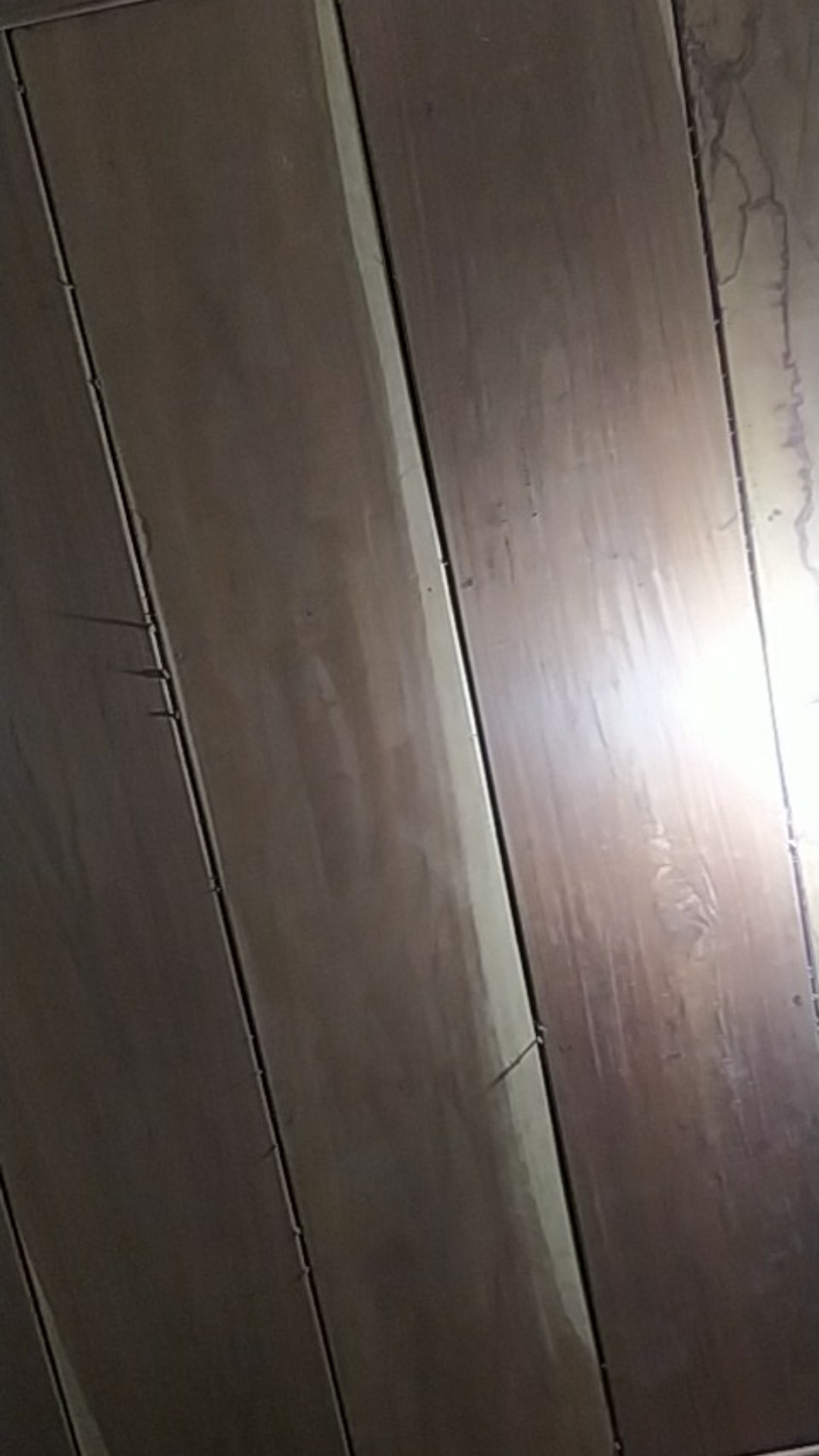 [𝐏𝐑𝐈𝐍𝐂𝐄𝐒𝐒] Sprei Murah Motif Bunga / Sprei Bunga Tulip / Sprei Motif Dewasa / Grosir Sprei