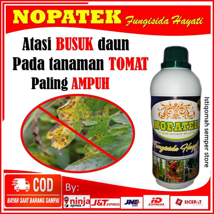 Obat Busuk Tomat - NOPATEK fungisida Hayati Paling AMPUH Mengatasi Busuk Tanaman TOMAT. isi 500ml