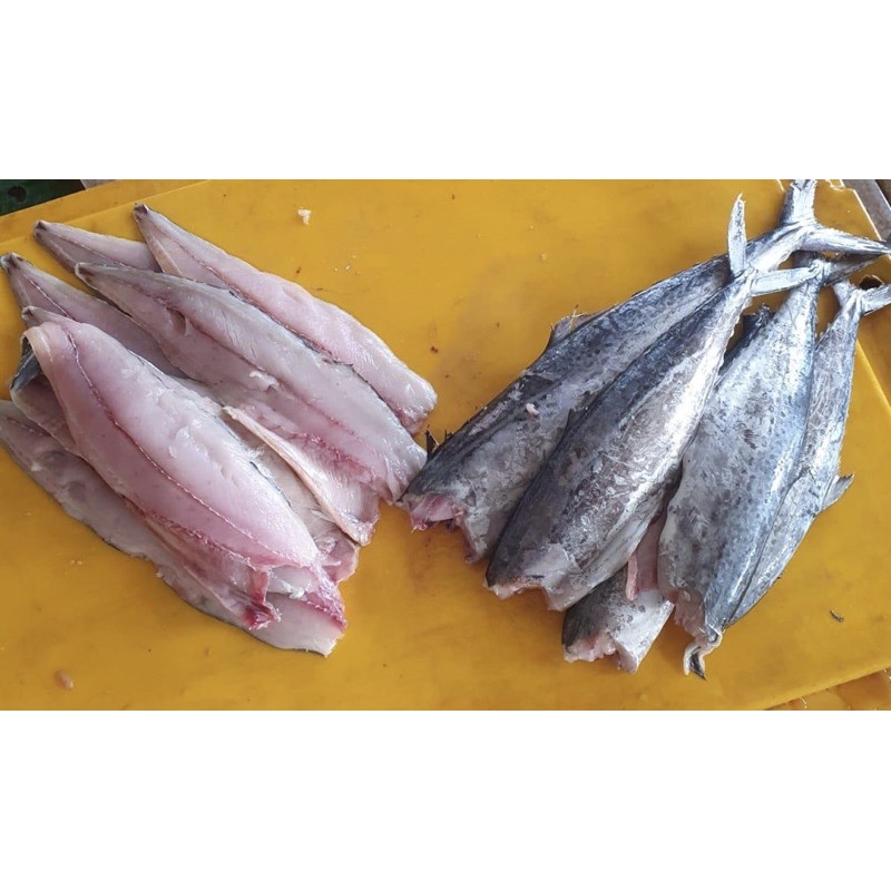 

Tenggiri Gepeng Fillet