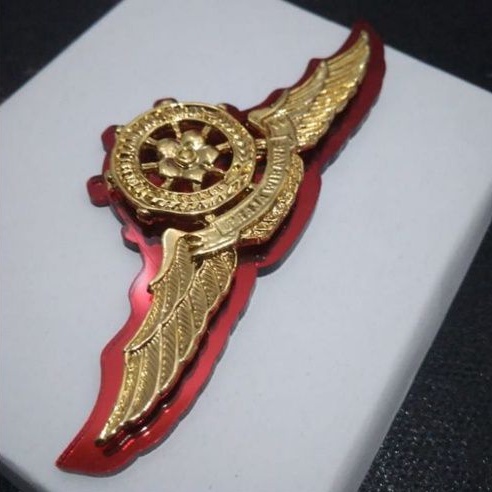 Wing Satpol PP - Atribut Pol PP