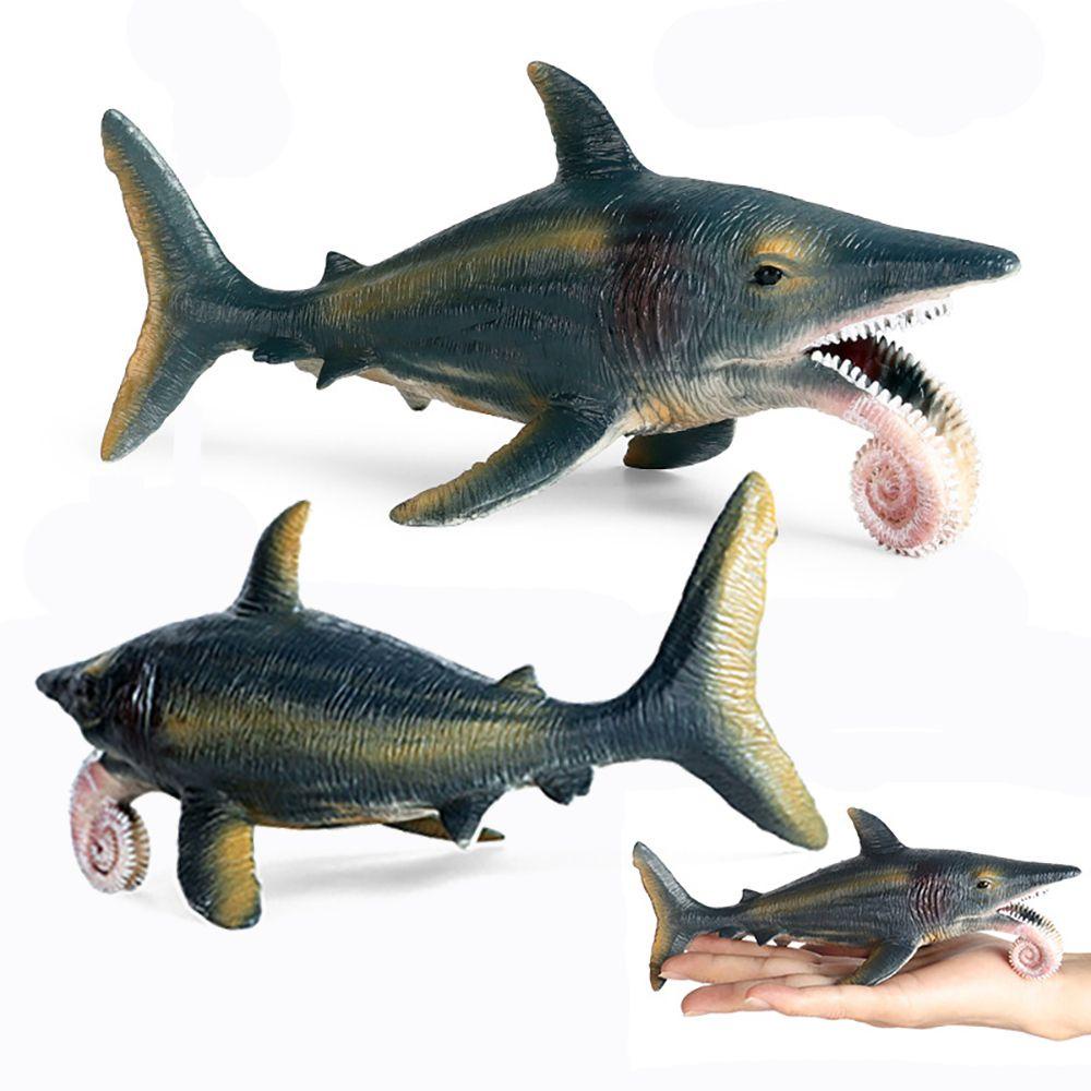 Model Helicoprion Lansekap Mikro Untuk Pembelajaran Organisme