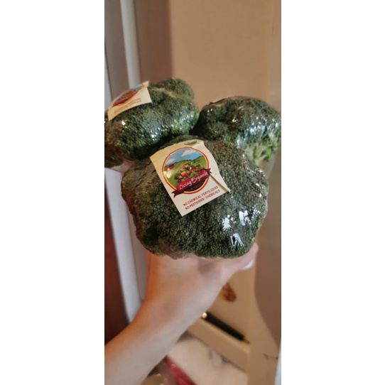 

Brokoli 500 gr sayuran organik