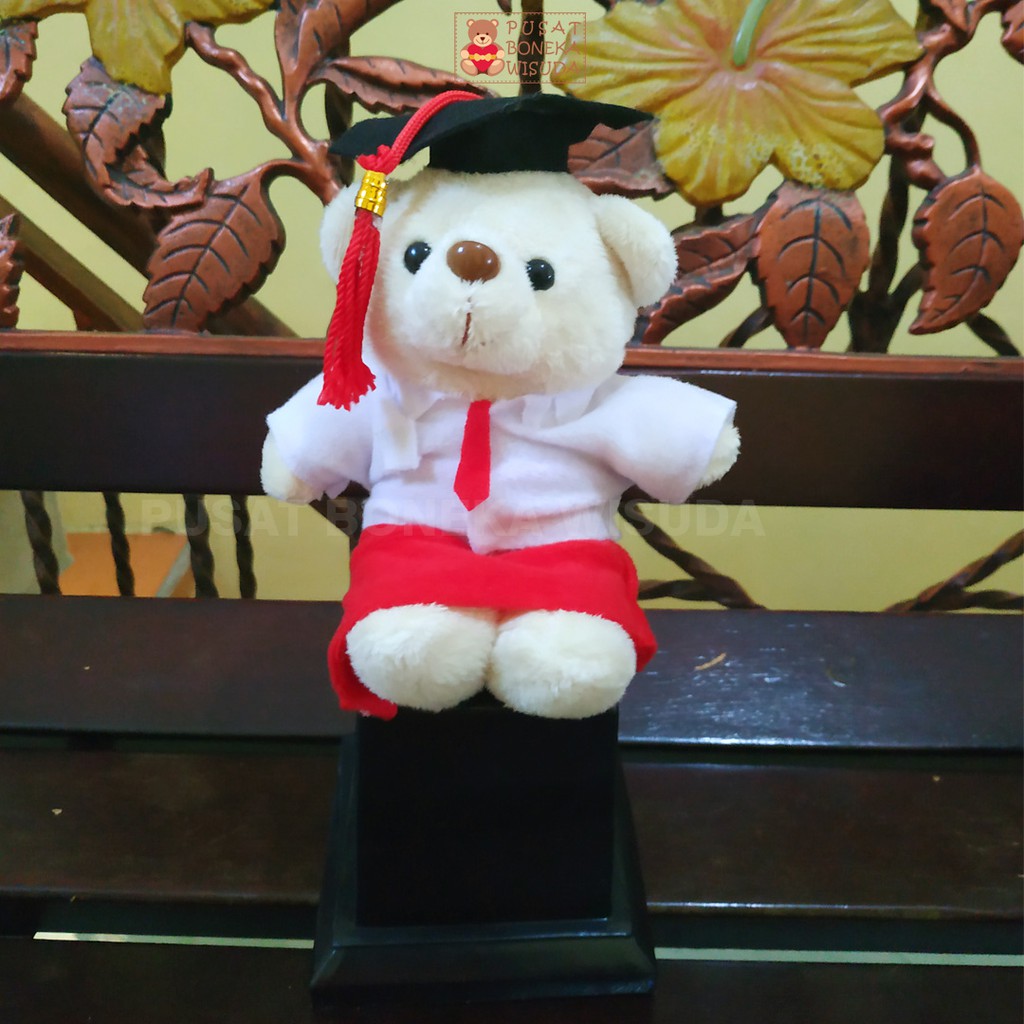 Piala Boneka Wisuda Untuk Anak Sekolah Sd SMP Sma Pilbon Murah Lucu Kecil Mini Perpisahan Graduation