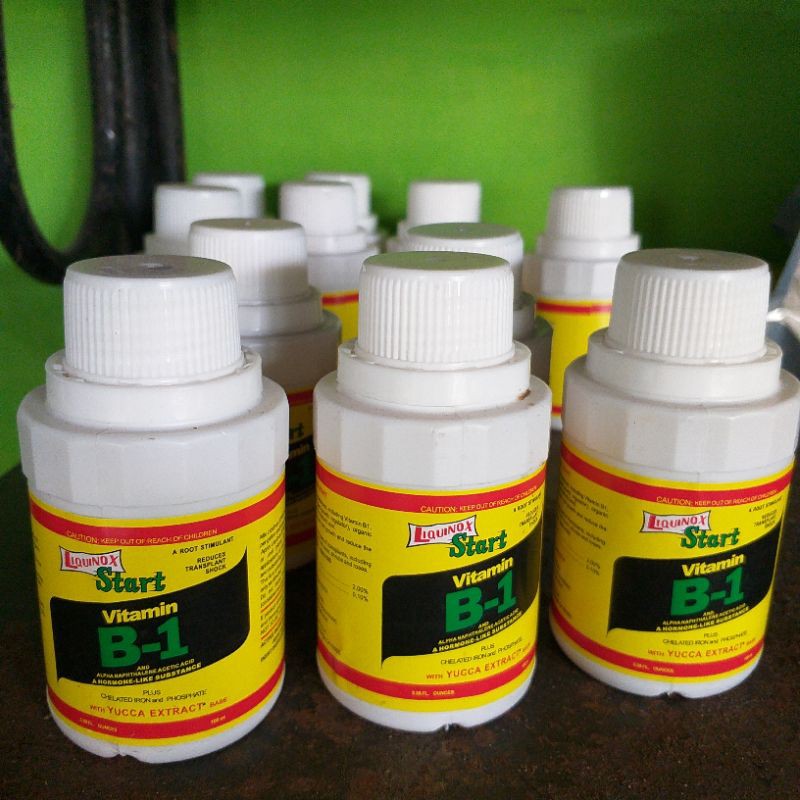 Vitamin B1 tanaman ASLI untuk penyubur tanaman