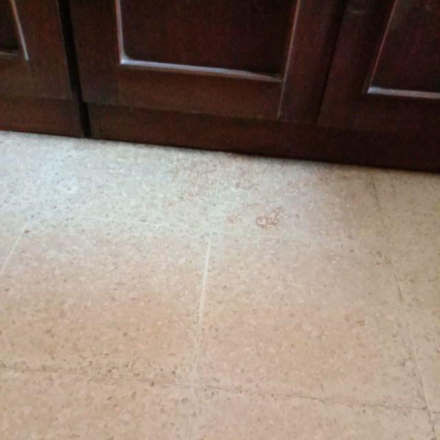 Paket Bahan Bibit Sabun Cuci Piring - Snowcling Formula Baru Extra Busa - Cuci Piring Gelas Perabot