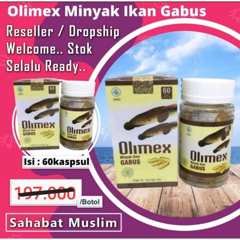 Kapsul Minyak Ikan Gabus Olimex-Kapsul Albumin ekstra minyak kutuk