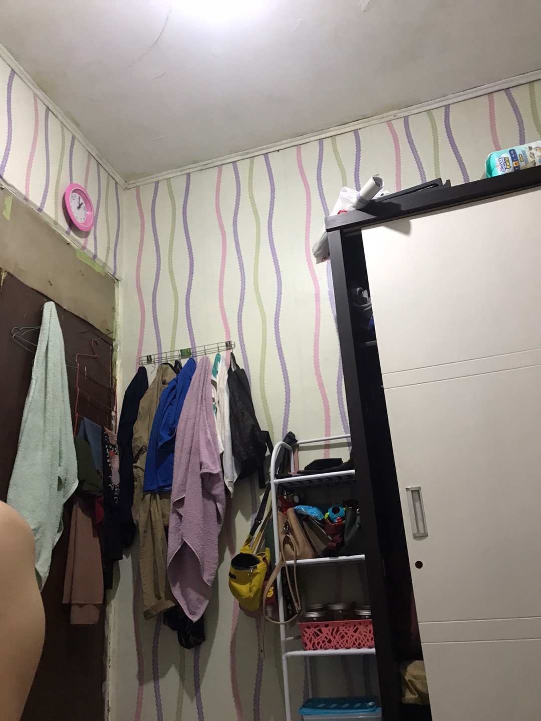 Spon/spons Cuci Piring Warna Warni