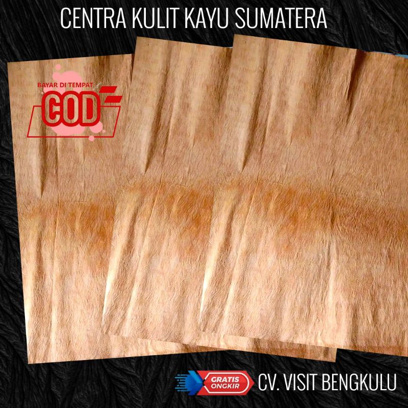 KULIT KAYU LANTUNG WARU TERAP GRADE A LEMBARAN 1 x 1 METER