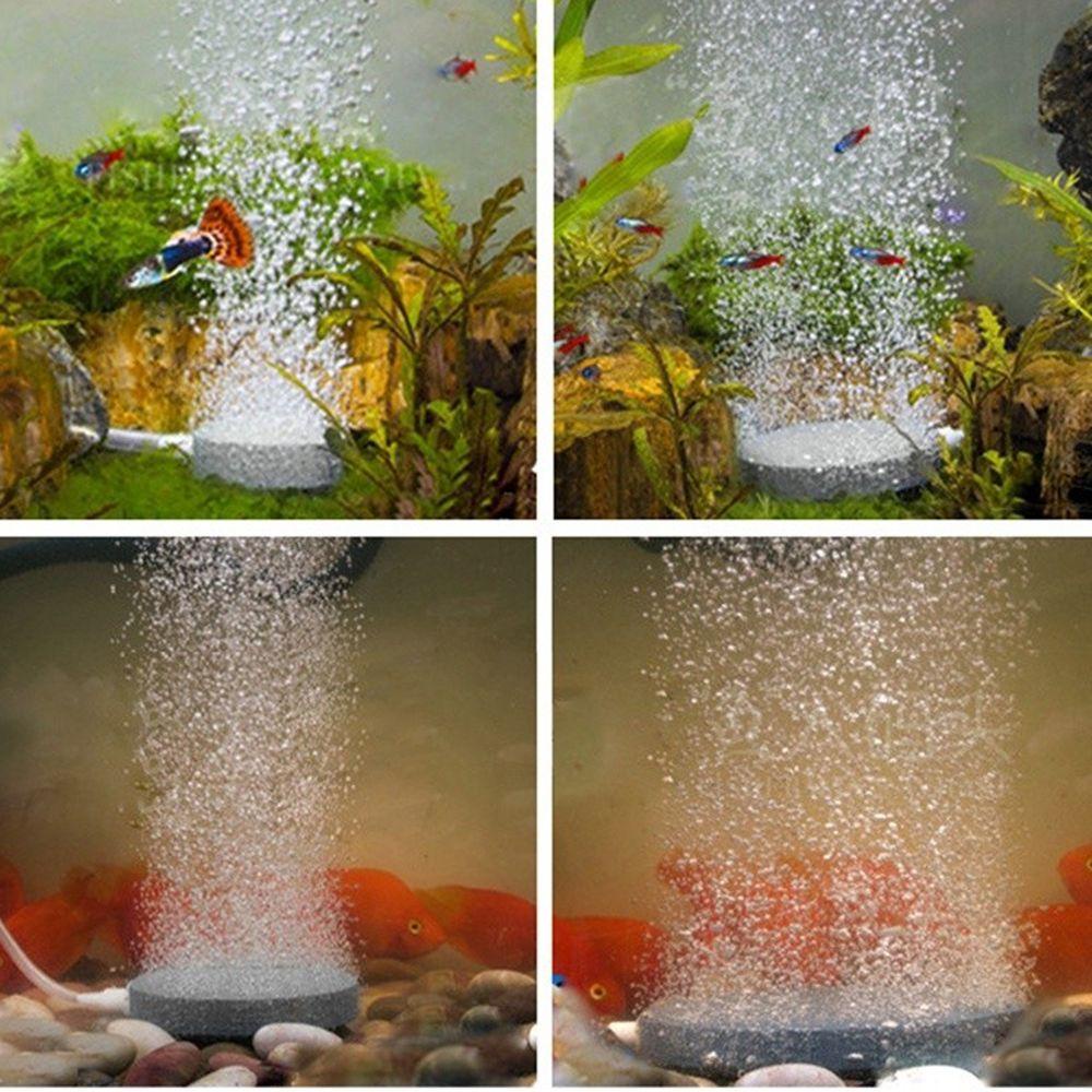 [Elegan] Aquariums Aksesoris Aerator Tangki Ikan Pompa Hidroponik Plat Diffuser