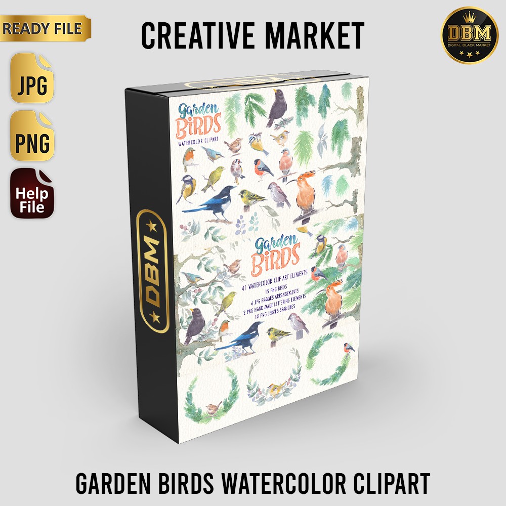 Garden Birds Watercolor Clipart - Vector Designs