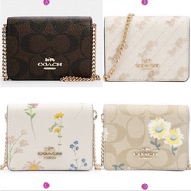 Coach Mini Wallet on Chain