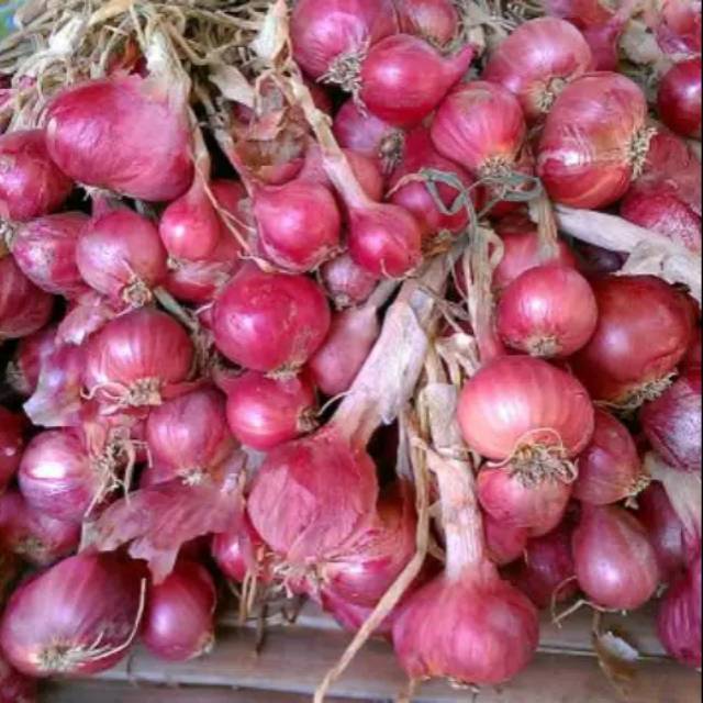 

Bawang Merah