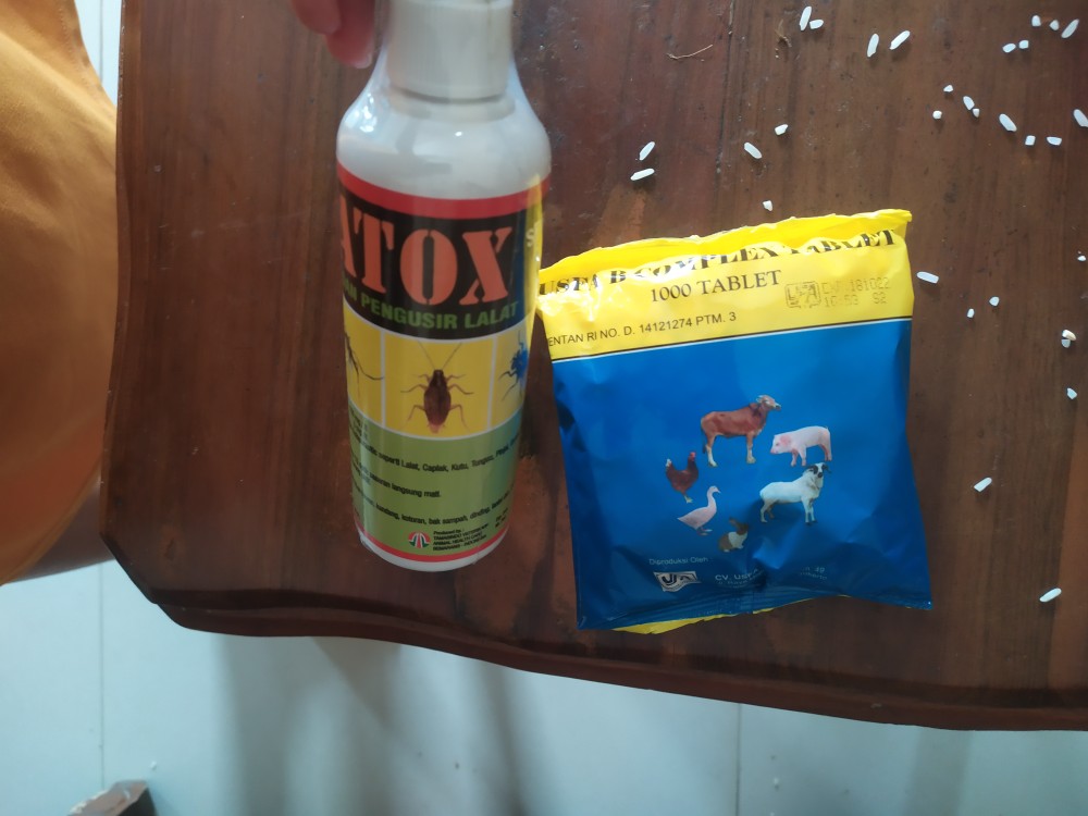Matox Obat Pembasmi Lalat Nyamuk Tungau Hewan Ternak Sapi Kambing Domba Kuda Babi Shopee Indonesia