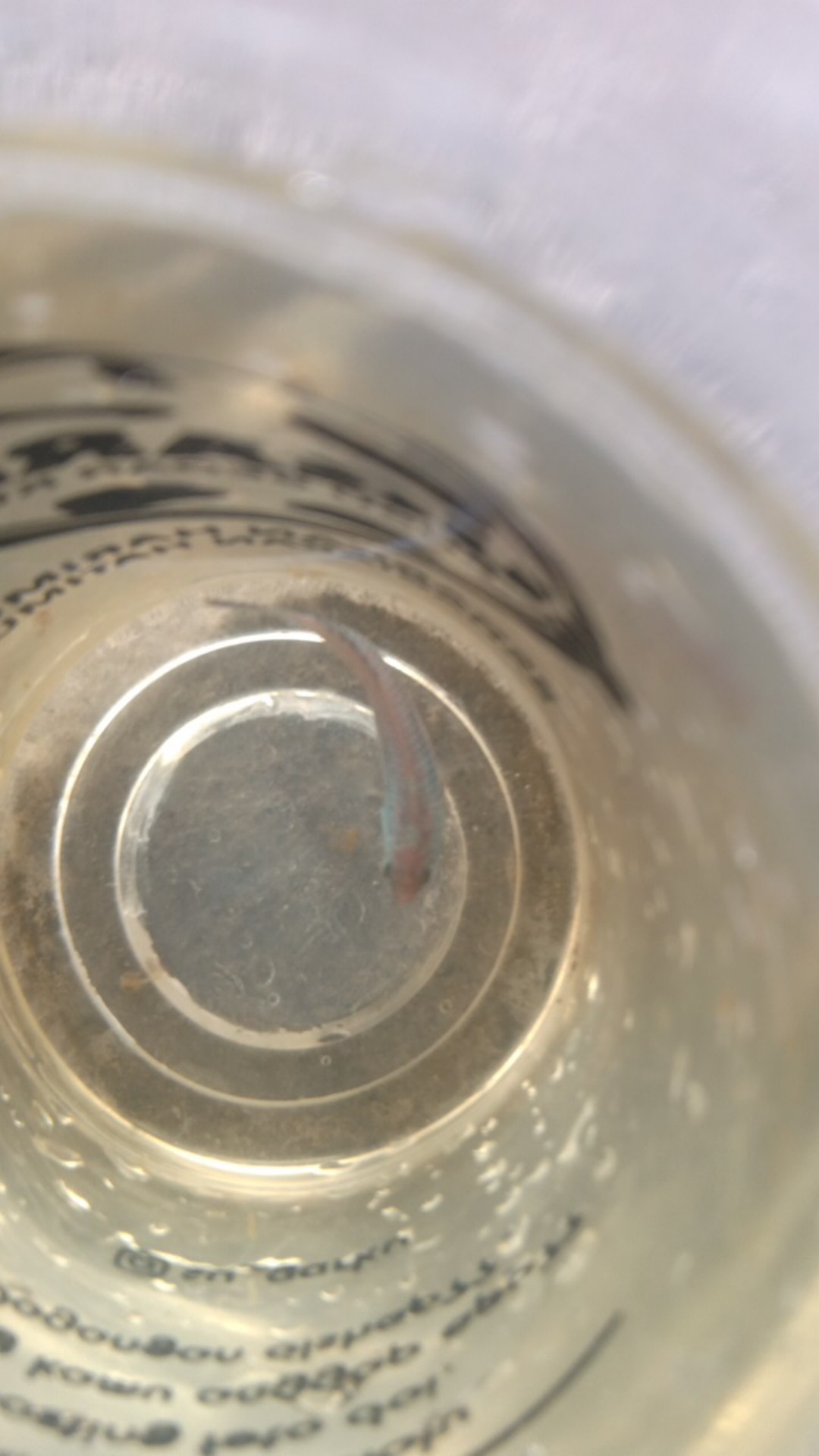 Ikan Cupang Hias Wild Betta Alien Hybred Green