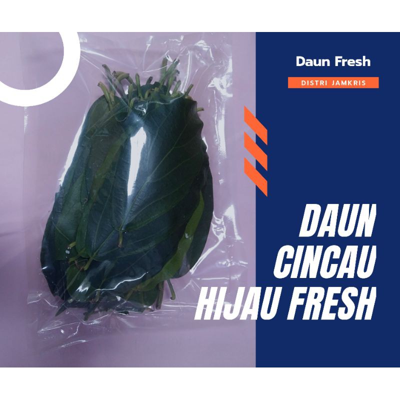 

Daun Cincau Hijau Perdu Organik Fresh