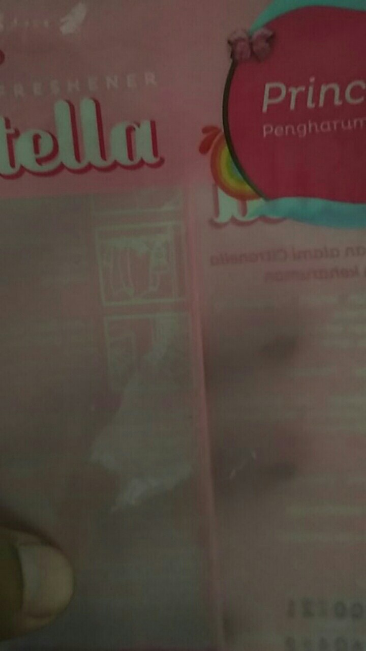 Stella Fogo Pengharum Lemari Princess 12gr