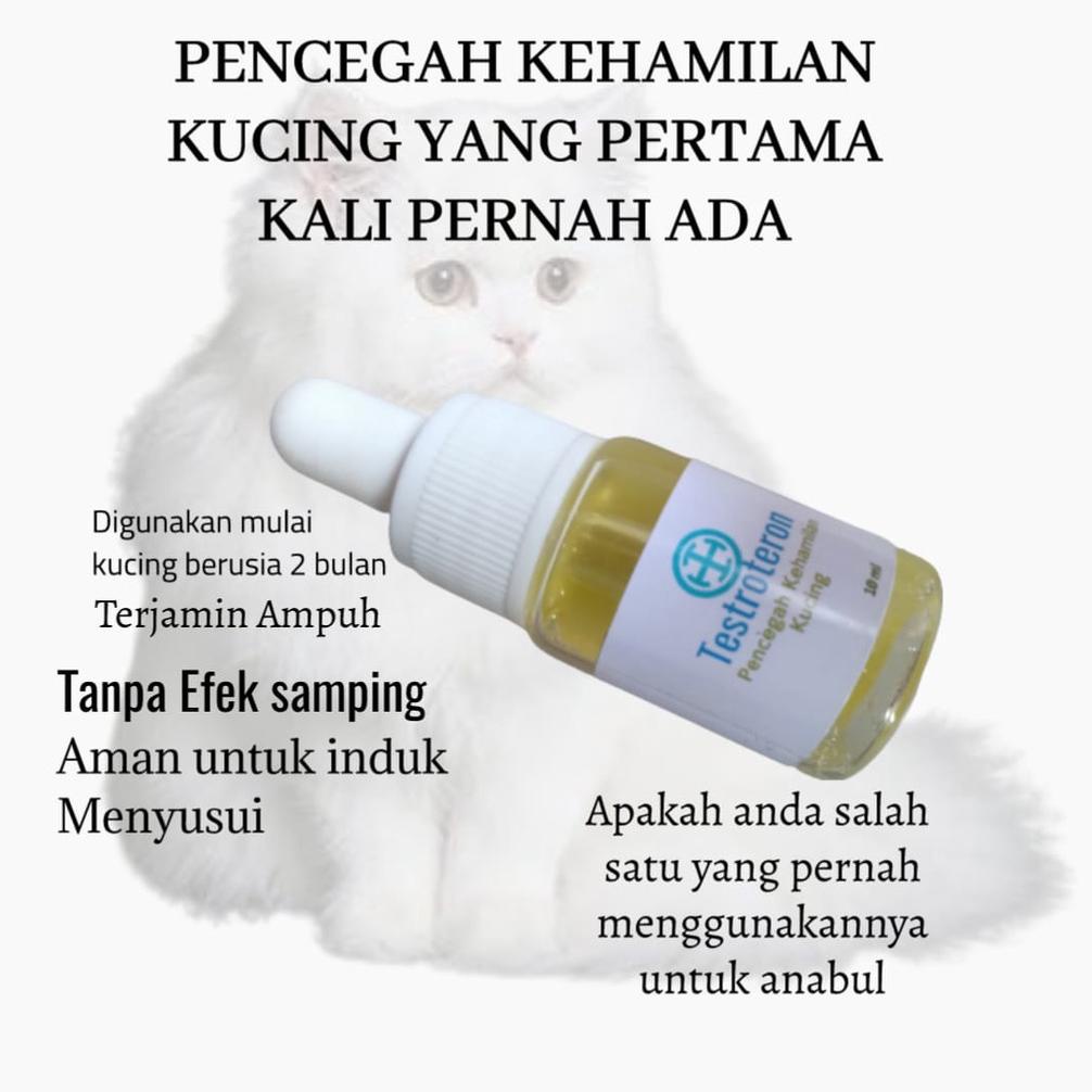 Kb Kucing Anti Kehamilan Dan Birahi Anabul