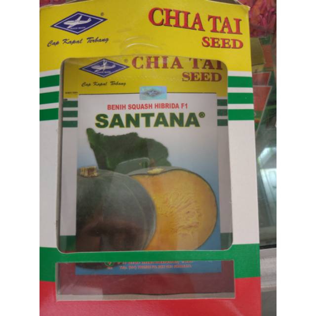 SANTANA