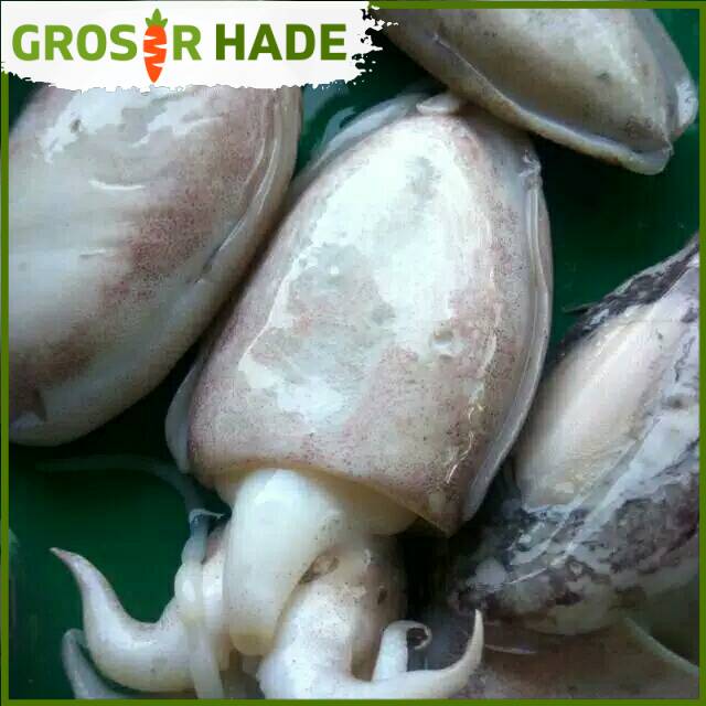 

Balakutak segar 500 gram Pasar Bandung Murah