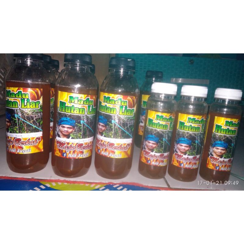 

madu hutan liar
