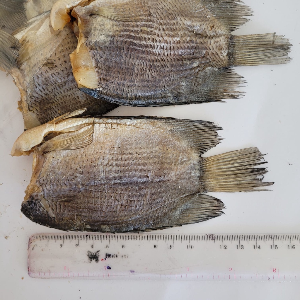 

Ikan Asin Biawan/ Sepat/ Bo Thau Pou/ Tembakang uk M 500 gram asli Khas Pontianak/Kalimantan