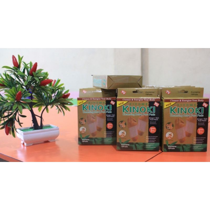 KINOKI / KOYO KINOKI