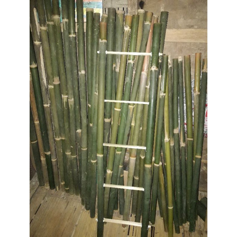 Tangga Bambu Jemuran