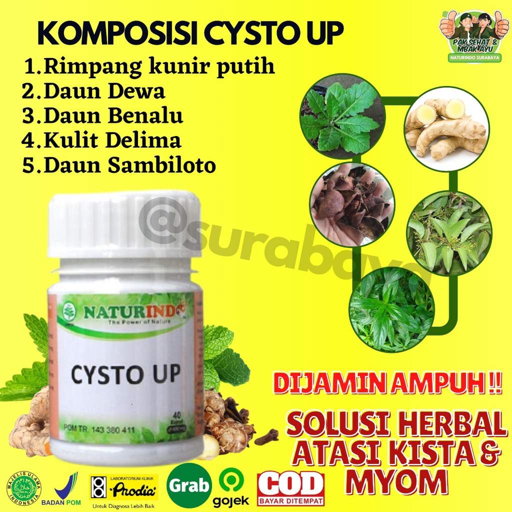 Obat Kista dan Miom Ovarium Obat Herbal Kista Bartholin Obat Penyakit Rahim Obat Cista Cysta Obat Miom Myom Coklat Obat Kista Endometriosis Ampuh Jamu Herbal Kista Miom Tumor Mioma Ampuh BPOM HALAL MUI CYSTO UP Naturindo Surabaya 40 Kapsul-2