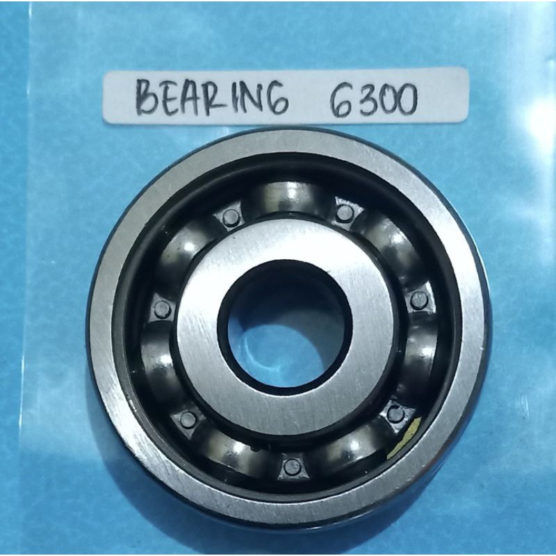 bearing 6300