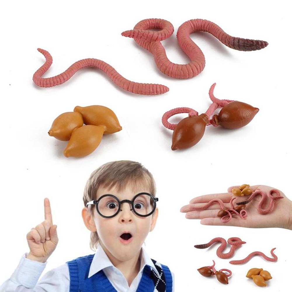 QUINTON Sea Life Salmon Kids Gifts Octopus Realistic Life Cycle Earthworm Simulation Insect Collect Science Plastic Animals Figurines Growth Cycle Model