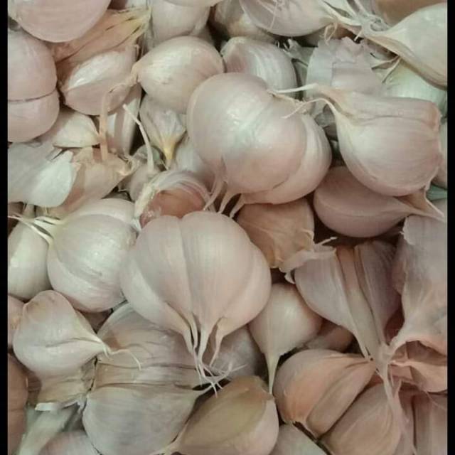 

Bawang kating bersih