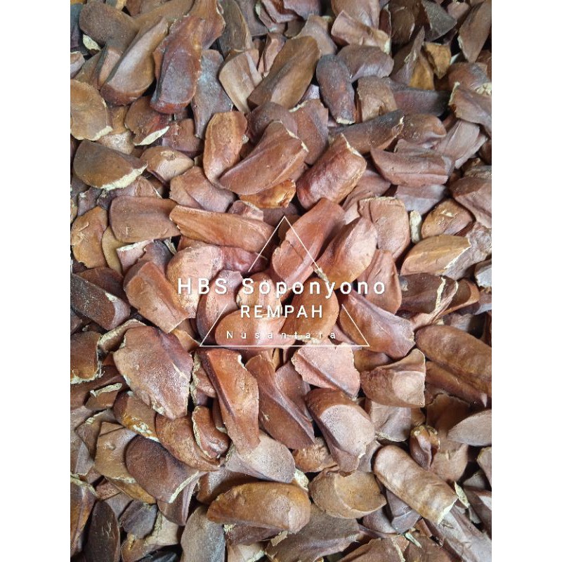 

Biji Mahoni 500gr kering SUPER / Xiang Tian Goa / Mauni