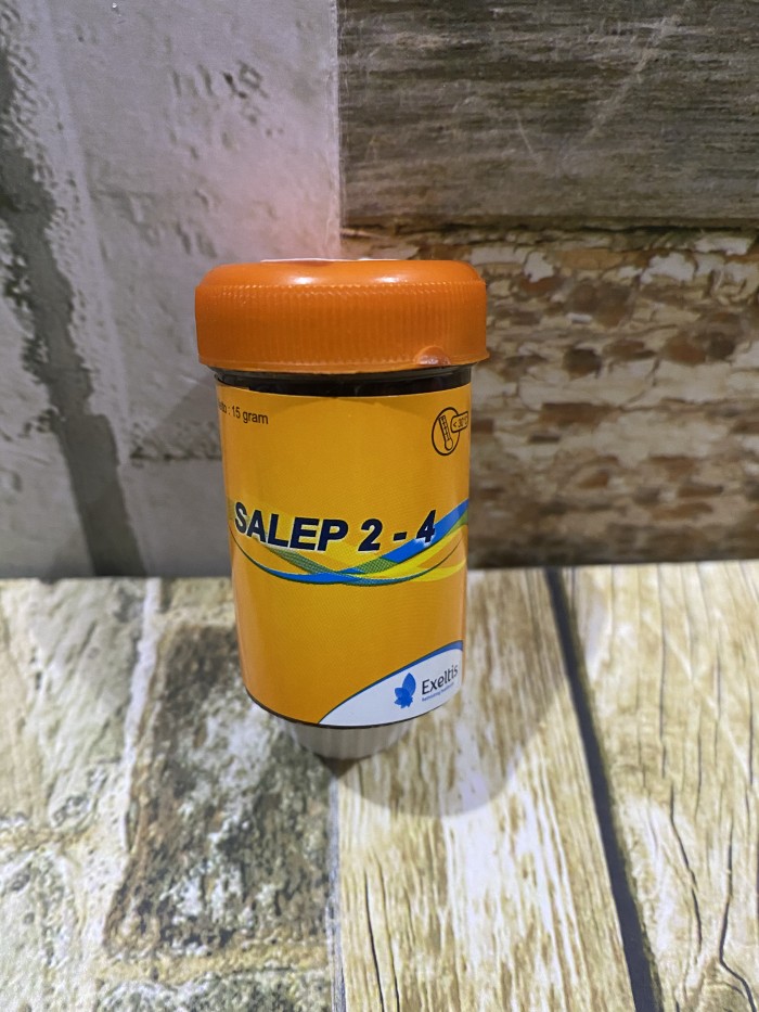 salep 24 salep kudis salep 2 4 original