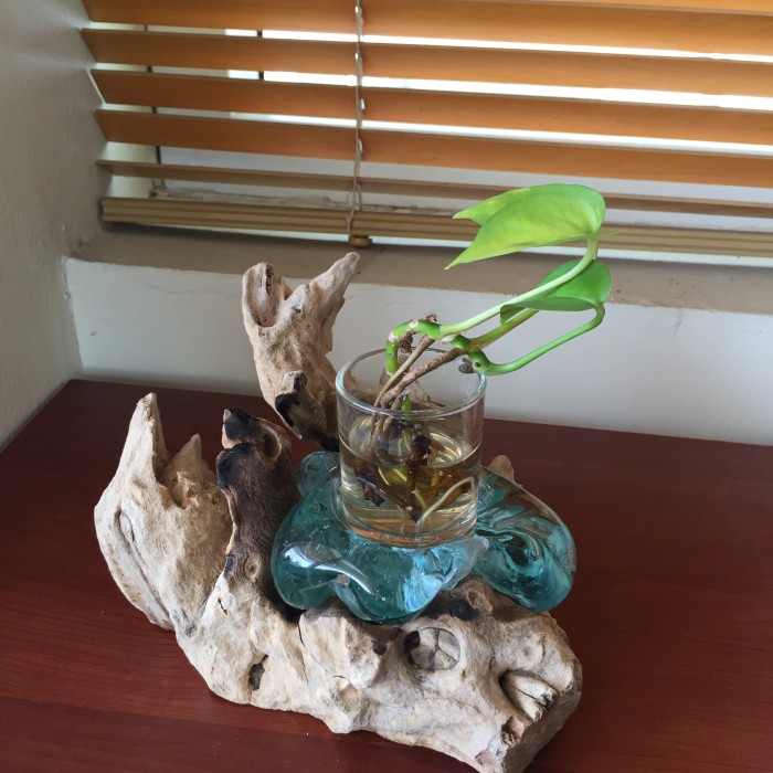 Hiasan Meja Dekorasi Kayu Tempat Lilin Kaca Asbak Pot Vas Tanaman