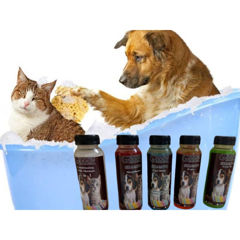 SHAMPO KUCING SHAMPO ANJING GOODY 250ML SHAMPO KUCING ANTI KUTU ANTI JAMUR WANGI SHAMPO KUCING BAGUS