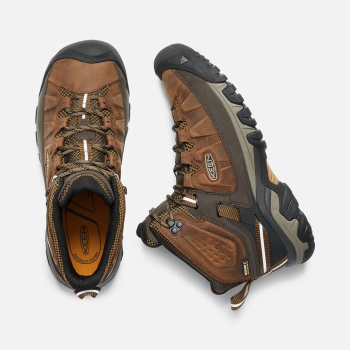 targhee iii keen