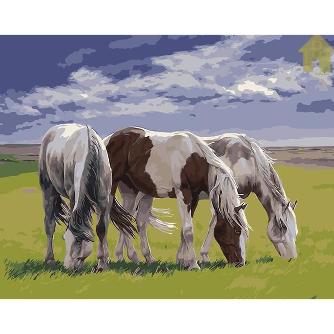 

DIY - Set Melukis / painting by number kit - ANIMAL 40x50cm. part-2 - Horses 6251