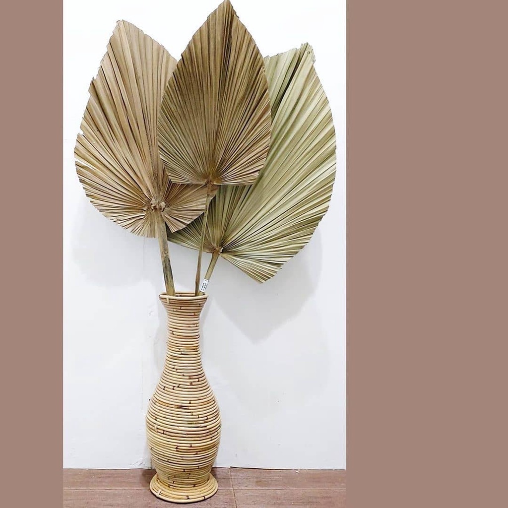 Daun Palem kering Dekorasi Rustic Artificial Mini Besar Jumbo Murah / Bunga Palem Kering Dekorasi / 