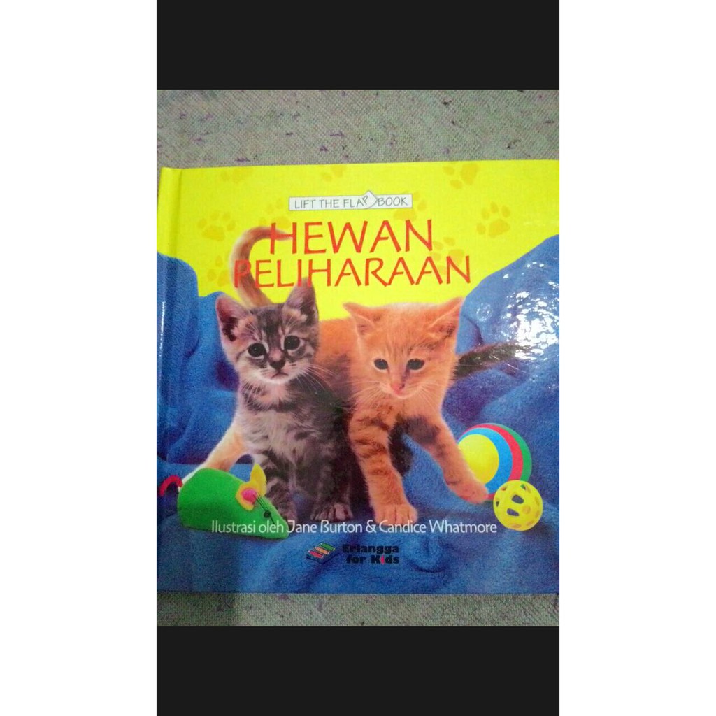 38 Gambar Ilustrasi Hewan Kesayangan Gambarilus 38 Gambar Ilustrasi Hewan Kesayangan Gambarilus