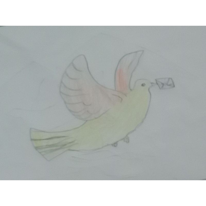 

lukisan burung dan gunung untuk dijual