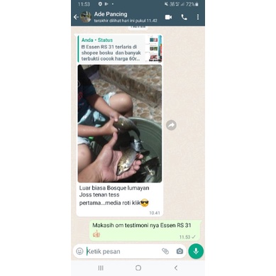 Umpan Pancing Essen RS 31 Aroma Gurih &amp; Amis Untuk Babon Ikan Mas