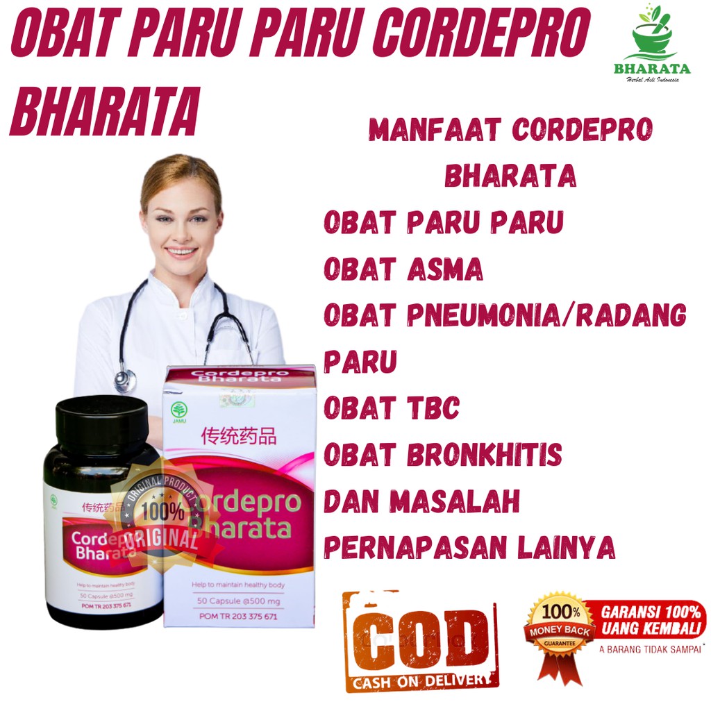 Cordepro bharata obat tbc paru "paru paru basah "obat tbc ampuh herbal