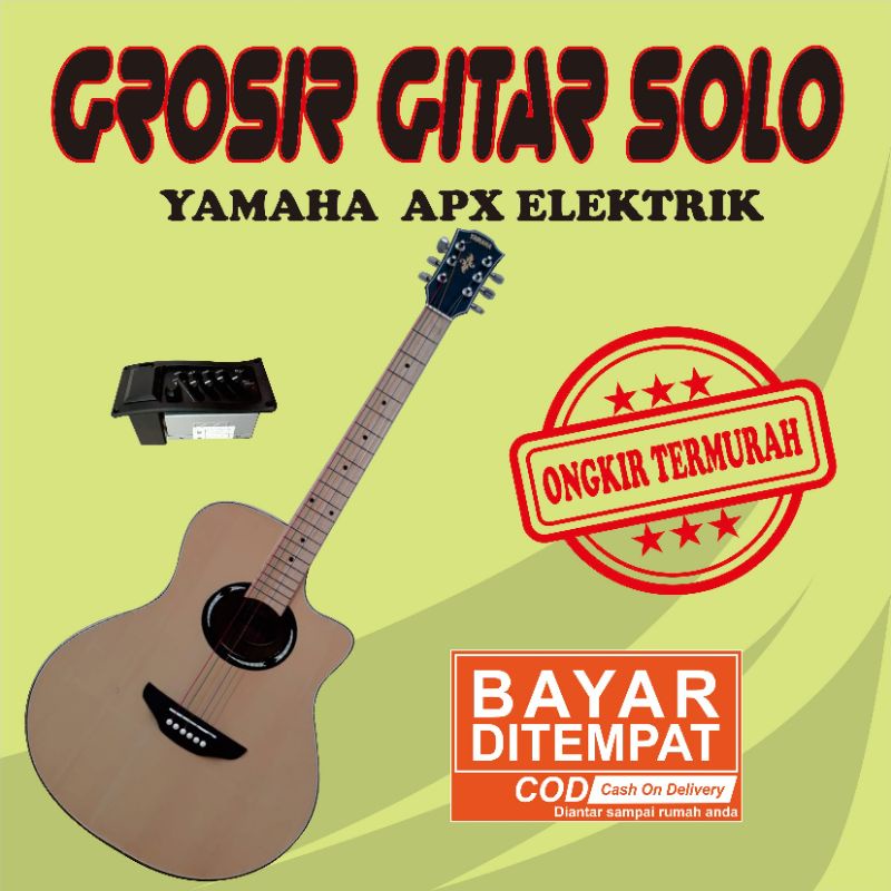 gitar akustik elektrik yamaha apx