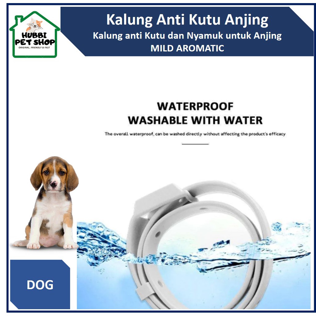Kalung Anjing Anti Kutu Tungau  Pet Collar anti Flea and Tick Obat Kutu