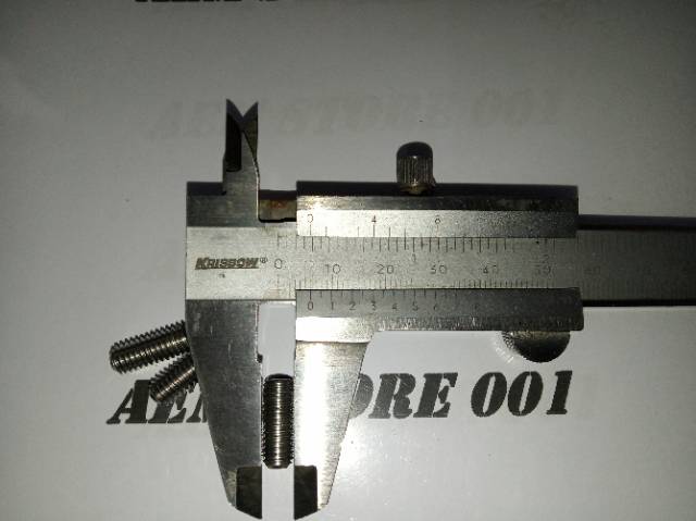 L tanam M6 x 16 (1.6cm) stainless 304