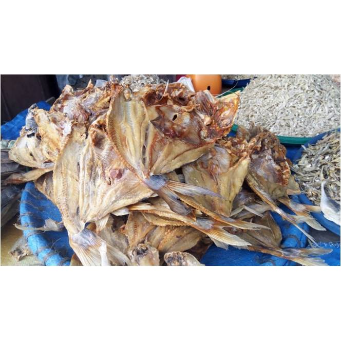 

Ikan Asin Mayung ( @ 500 Gr )