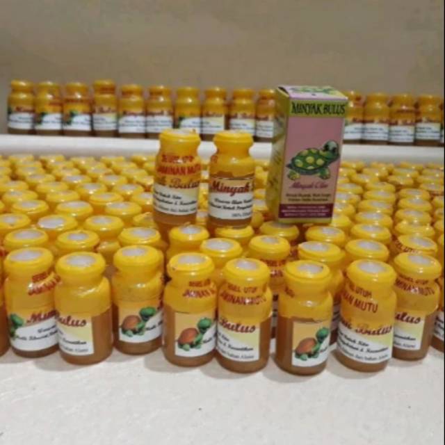 Minyak Oles Minyak Bulus Minyak Khasiat Original