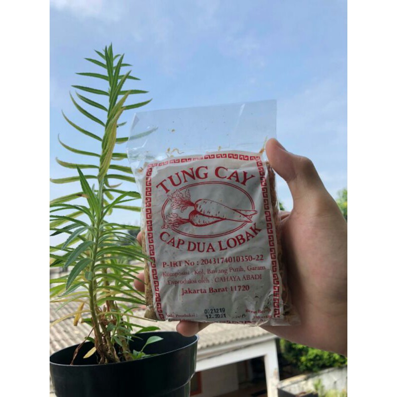 

PAKET HEMAT Tungcay cap 2 lobak